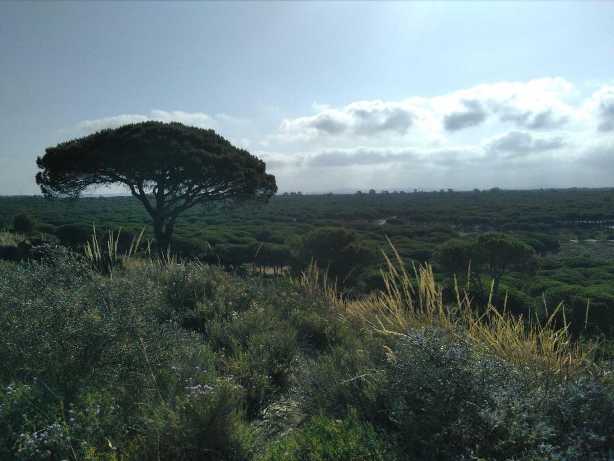 Alojamiento Dos Bahias Villa Chiclana de la Frontera Dış mekan fotoğraf